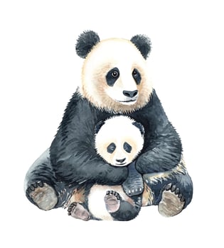 Watercolor panda and baby panda. vector
