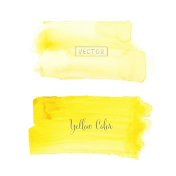 Yellow brush stroke watercolor on white background. Vector illustration.