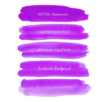 Set of purple watercolor on white background, Brush stroke watercolor, Vector illustration.