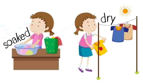 Opposite word of soaked and dry vector