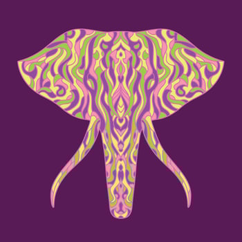 Painted elephant illustration vector