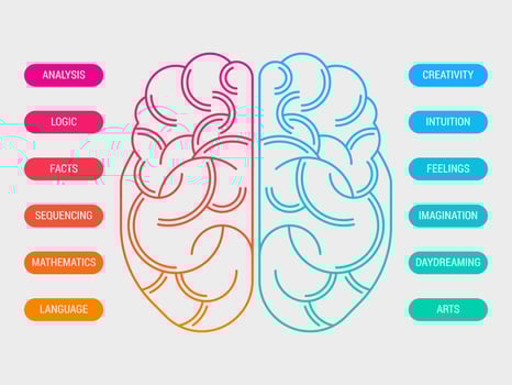 Cute Human Brain Hemispheres Vector	