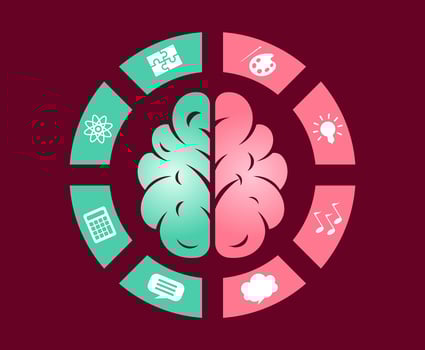 Human Brain Hemispheres vector