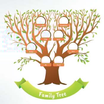 Family Tree Vector Design