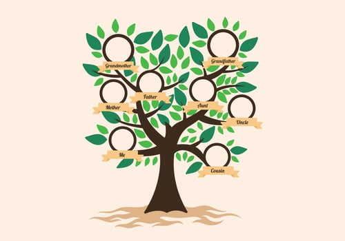 Family Tree Template vector