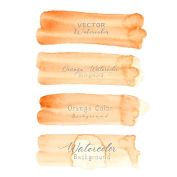 Orange brush stroke watercolor on white background. Vector illustration. 