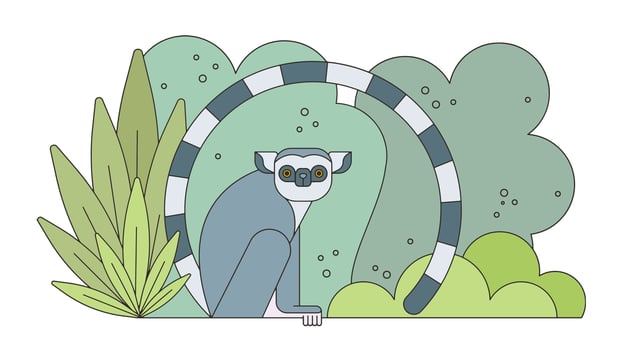 Lemur Madagascar Vector