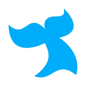 Killer Whale Orca illustration vector