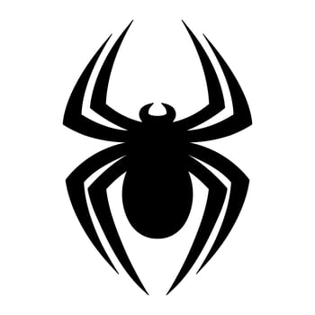 Spider insect bug vector