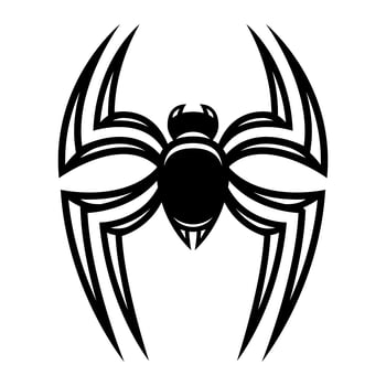 Spider insect bug vector