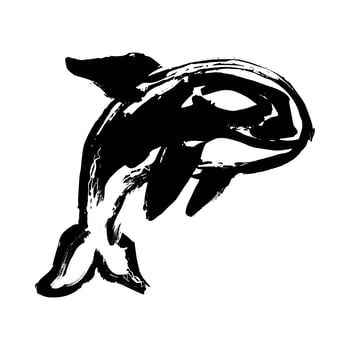 Killer Whale Orca illustration vector