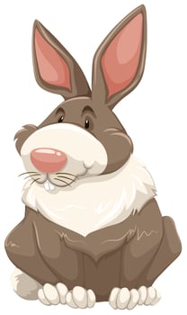 Rabbit vector