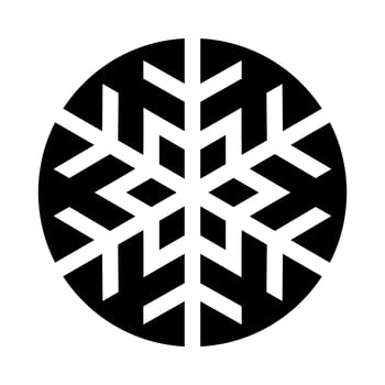 Snowflake Vector Icon