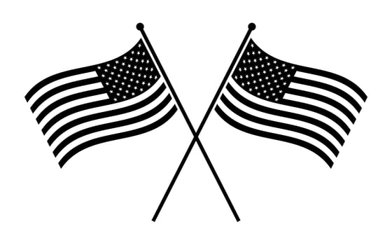 American Flags vector