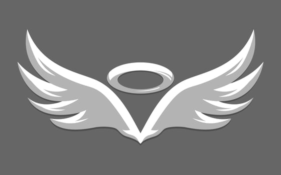 Angel Wings vector
