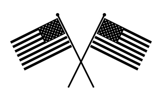 American Flags vector