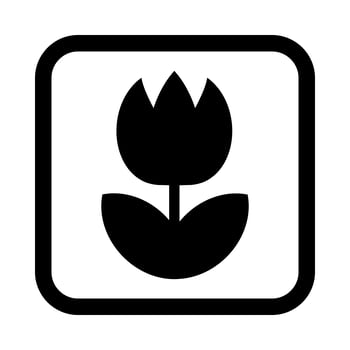 Tulip Flower Vector Icon