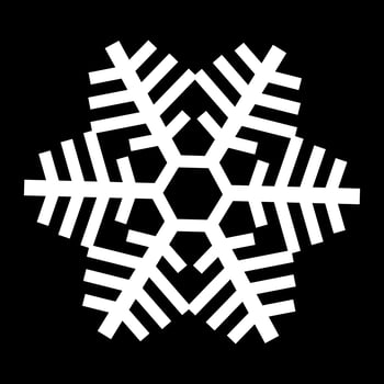 Snowflake Vector Icon
