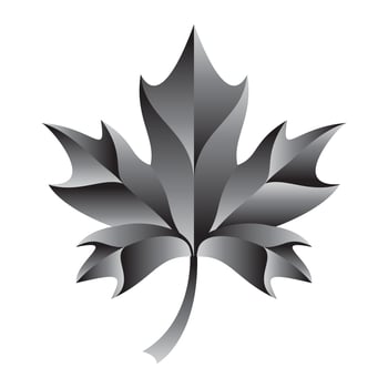 Autumn Maple Leaf vector logo
