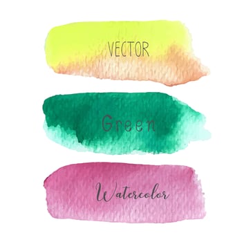 Set of colorful brush strokes watercolor on white baclground, Vector illustration.