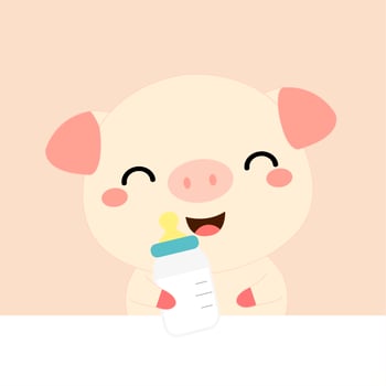 Cute cartoon baby Pig. vector