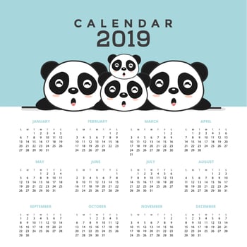 Calendar 2019 with cute pandas.  vector