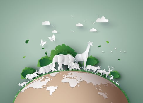 World Wildlife Day vector
