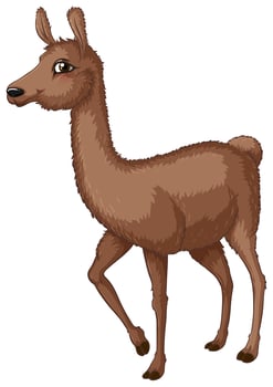 Lama vector