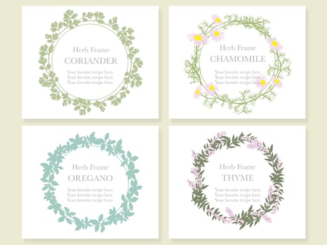 Set of four assorted frames with various herbs coriander, chamomile, oregano, and thyme. vector