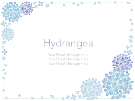 Vector frame illustration with hydrangeas.