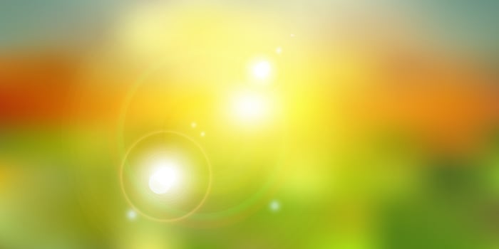 Summer sunlight on green nature blurred background. vector