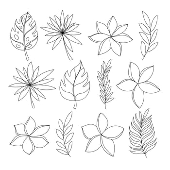 Exotic tropical flowers and leaves hand draw set vector