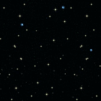 Night sky with stars vector