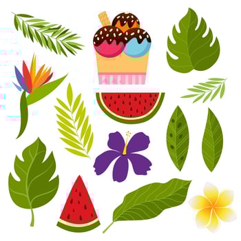 Tropical collection with exotic flowers and leaves. vector