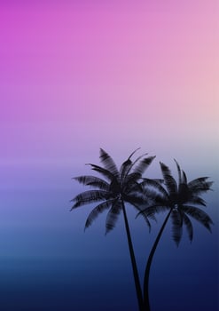 Palm trees on a gradient background  vector