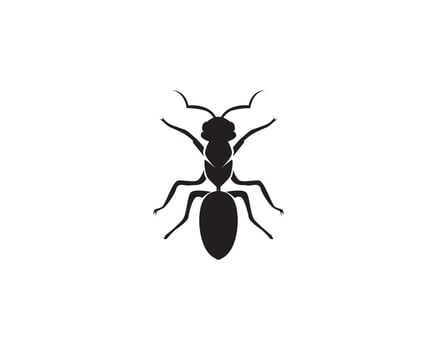 Ant Logo template vector illustration design