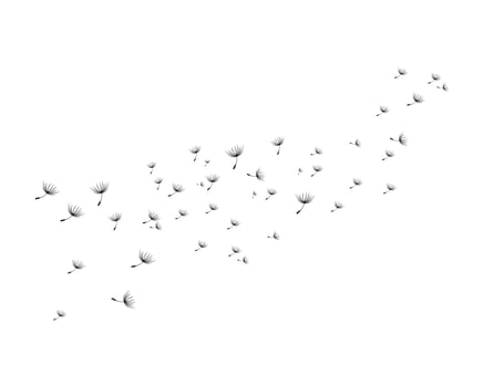 Dandelion vector illustration designs