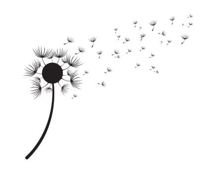 Dandelion vector illustration designs