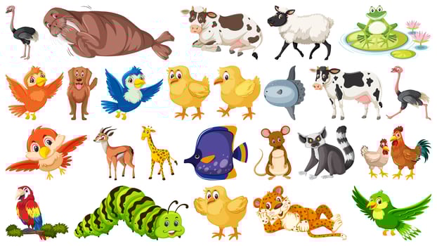 Set of animal character vector