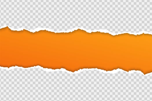 Tear paper or edge On a transparent background. vector