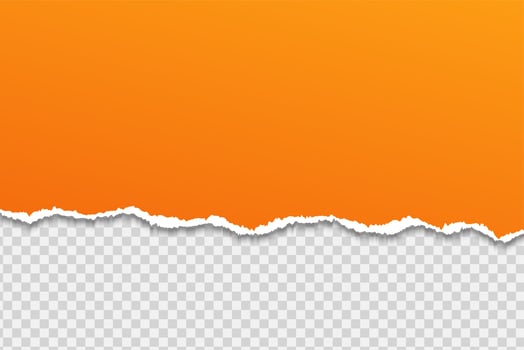 Tear paper or edge On a transparent background. vector