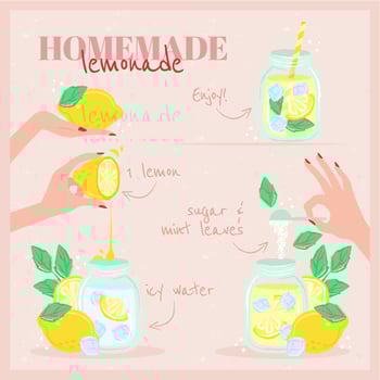 Hand Drawn Lemonade Recipe Illustration vector
