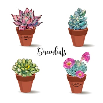 Succulents in clay pots. Set. Graphics with watercolor. Vector. vector
