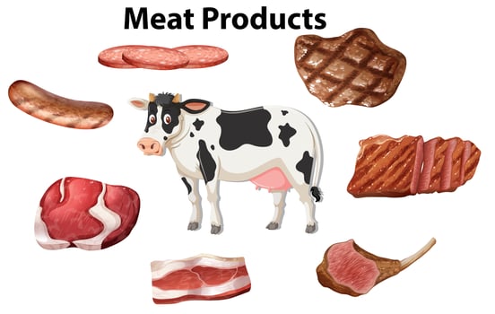 Set of meat products vector