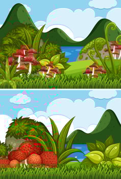 Two river scenes with mushrooms in garden vector