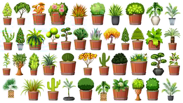 Set of plant in pot vector