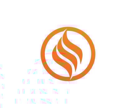 Fire flame Logo Template vector icon Oil, gas and energy logo concept