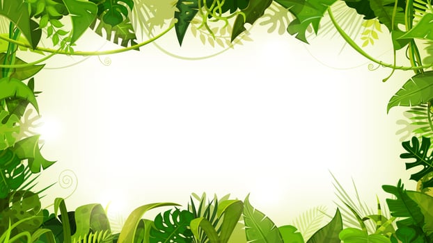 Jungle Tropical Landscape Wide Background vector