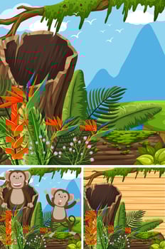 Scenes with monkeys in the forest vector