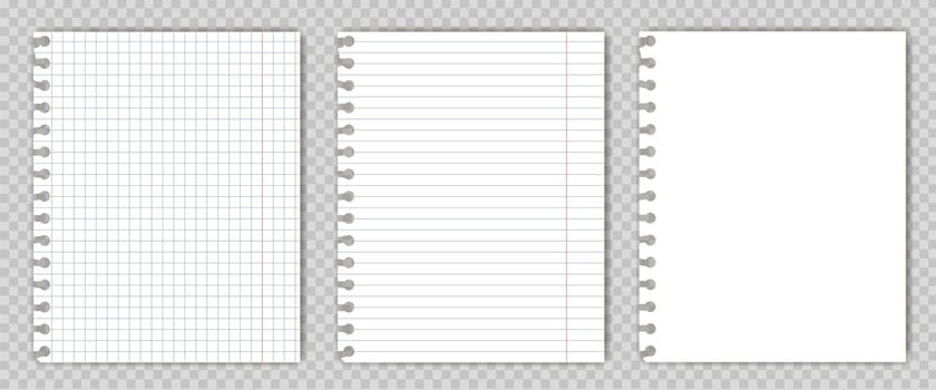 Set of blank  copy book sheets with torn edges. Mockup or template of graph notepad pages for your text. vector